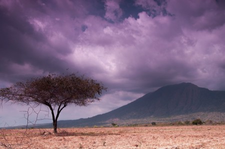 Taman Nasional Baluran