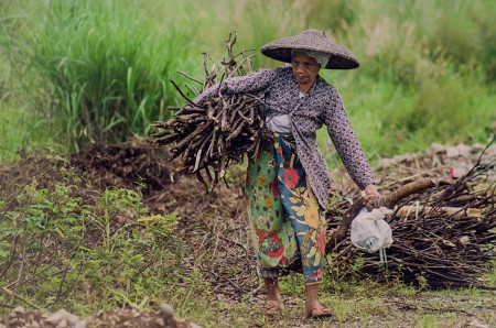 The Old Women Looking for Fire-Wood