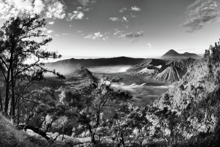 Bromo