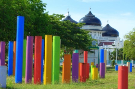 Color we Need