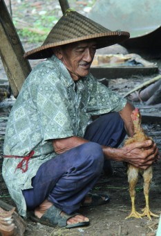 Petani