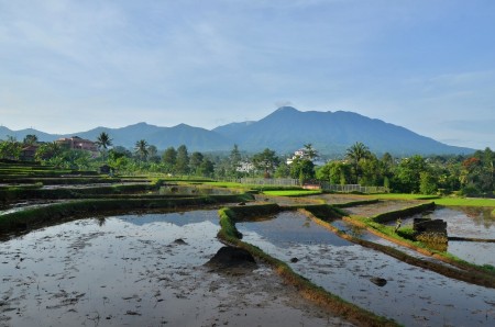Pagi Hari di Desa