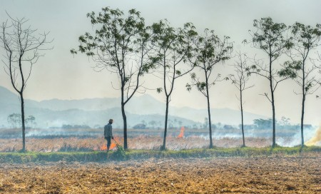 the burning rice residue