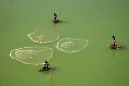 The Fish Hunters