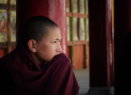The Young Monk