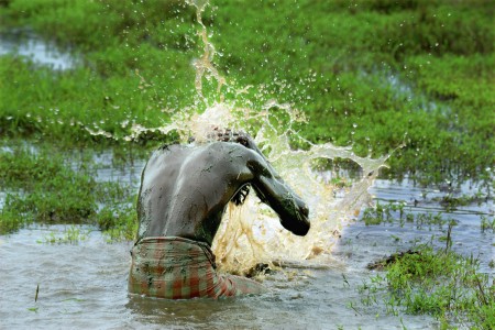 Dayend wash_P.Karunakaran