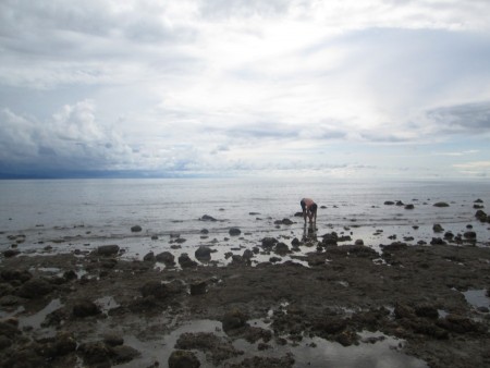 Pantai yang Indah
