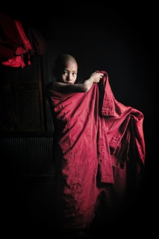 Burmese novice