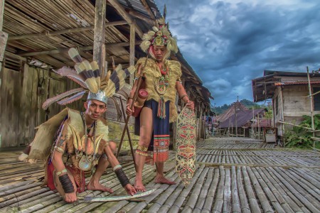 Bornean warriors