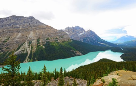 Peyto Lake
