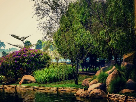 River On day
