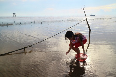 Small Girl, Big Help.