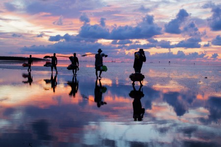 Fishing at dawn