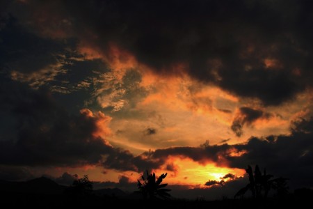 Symphony of nature
