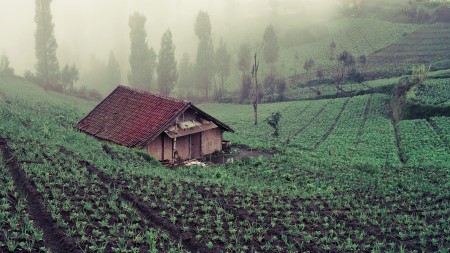 pondok sepi di Cemoro Lawang
