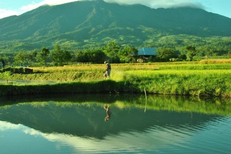 Di antara gunung dan empang