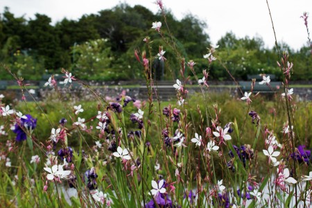 Botany