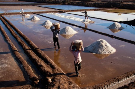 Harvest salt