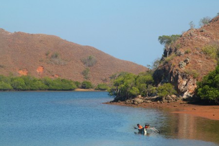 Loh Buaya