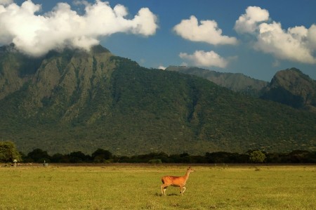 Baluran