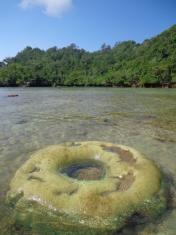 Batu Donat