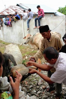 Idul Adha Celebration Day