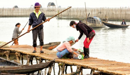 Life in the lagoon