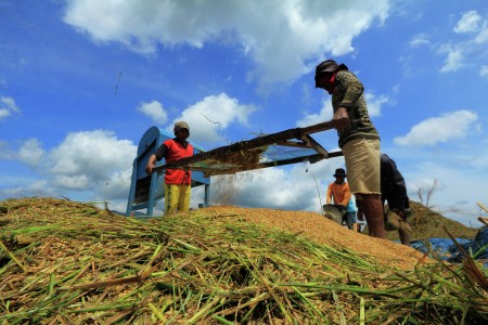 Harvest Time