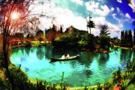 Paradise