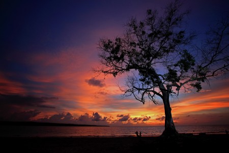 Silence Twilight
