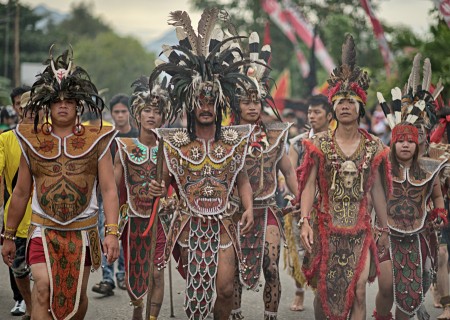 The Dayaks