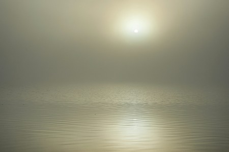 Sunrise in the fog