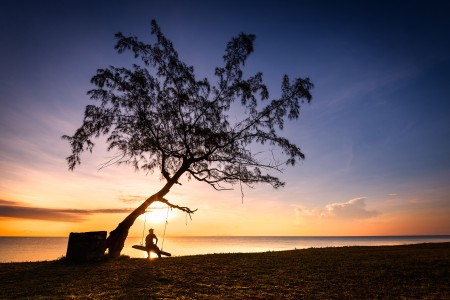 silhouette of a loner