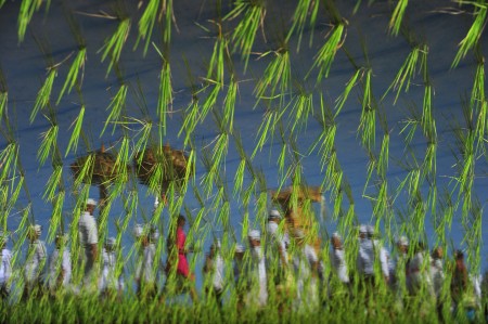 Reflection of Melasti Procession