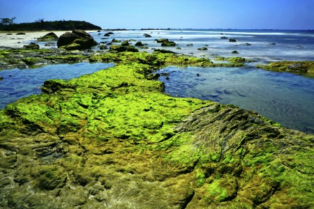 Green Stones