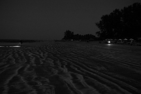 Moonlit sea-shore