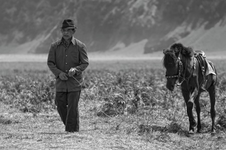 Cowboy of Bromo