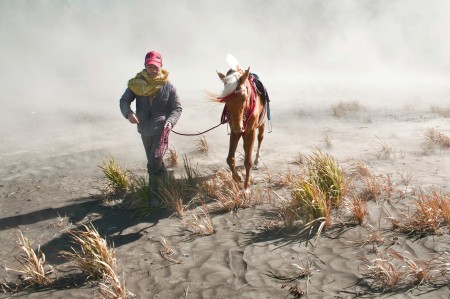 Mount Bromo Horseman