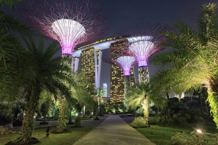 Supertrees