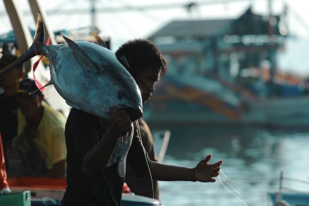Son of GenSan