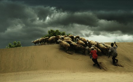 Fleeing the storm