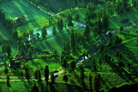 Cemoro Lawang shadow