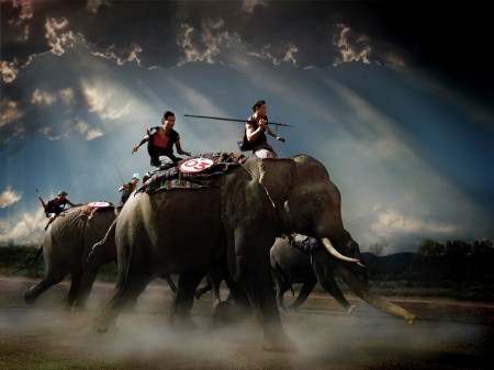 ELEPHANTRACING