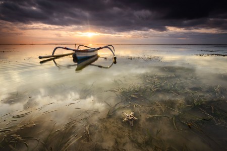 starfish and sun