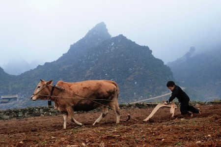 A little boy is working hard