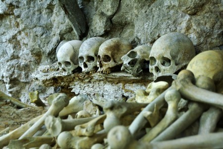 skull