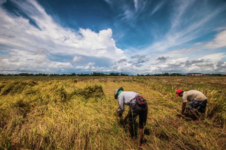 mencari rezeki dibumi asing