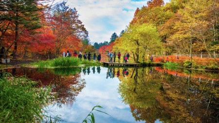 Autum