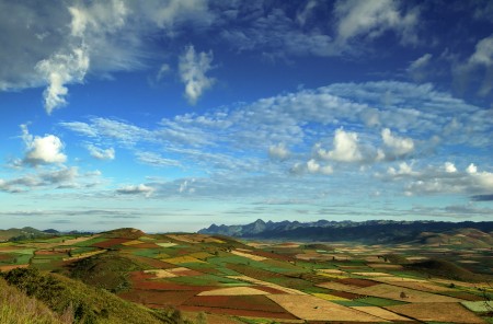 The Wonder of Nature