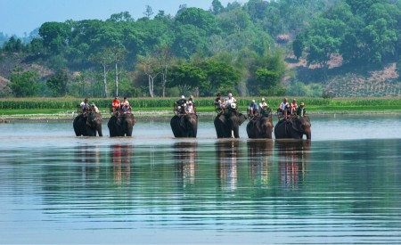 Travel by elephant on the lake
